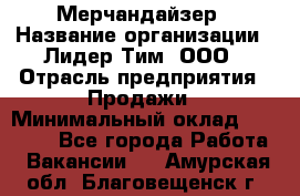 Мерчандайзер › Название организации ­ Лидер Тим, ООО › Отрасль предприятия ­ Продажи › Минимальный оклад ­ 26 000 - Все города Работа » Вакансии   . Амурская обл.,Благовещенск г.